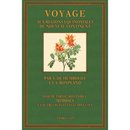 Voyage - Botanique - Mimoses