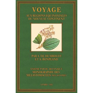 Voyage - Botanique - Melastomacées: Melastomes