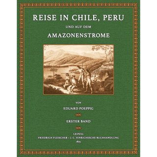 Reise in Chile, Peru - 1