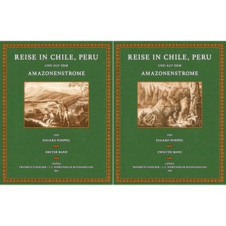 Reise in Chile, Peru - 1 und 2