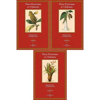 Flora Peruviana et Chilensis - 1 - 3