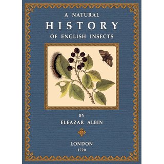 A Natural History of English Insects