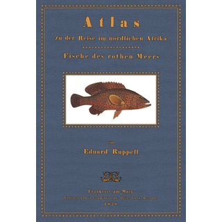 Atlas zur Reise in Afrika - Fische