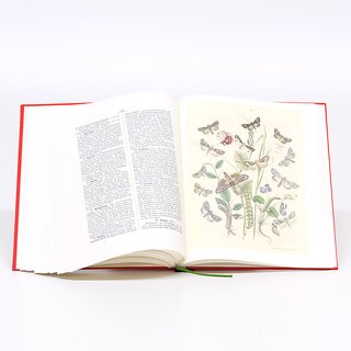 Berges Schmetterlingsbuch
