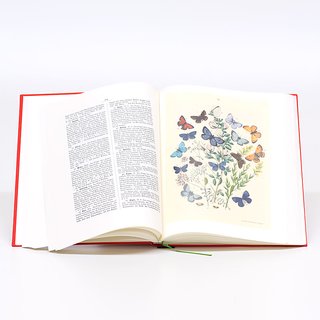Berges Schmetterlingsbuch