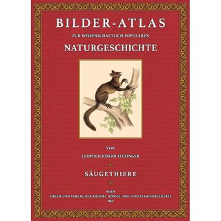 Bilder-Atlas zur Naturgeschichte der Säugethiere