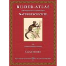 Bilder-Atlas zur Naturgeschichte der Sugethiere