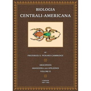 Biologia Centrali-Americana 11 - Arachnida 2