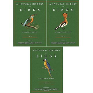A natural History of Birds - 1 - 3