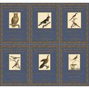Histoire Naturelle des Oiseaux dAfrique - 1 à 6