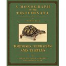 Tortoises, Terrapins and Turtles