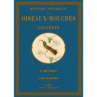 Histoire naturelle des Oiseaux-Mouches - 4