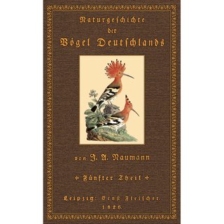 Naturgeschichte der Vögel Deutschlands - 5