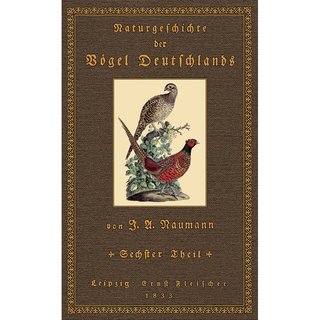 Naturgeschichte der Vögel Deutschlands - 6
