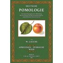 Deutsche Pomologie - Apricosen, Pfirsiche, Wein