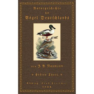 Naturgeschichte der Vögel Deutschlands - 11