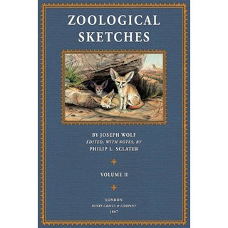 Zoological Sketches - 2