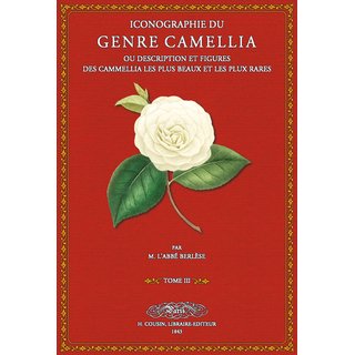 Iconographie du Genre Camellia - 3