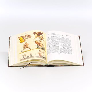 Bilderbuch fr Kinder - 12 Bnde - Sammlerversion
