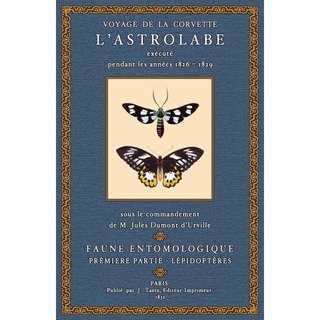 Voyage de la Corvette Astrolabe - Faune Entomologique 1