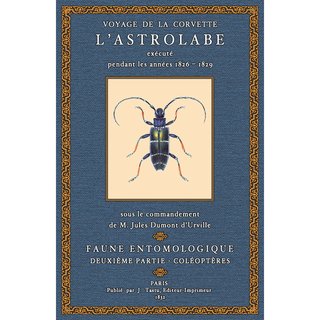 Voyage de la Corvette Astrolabe - Faune Entomologique 2