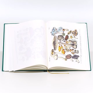 Lehrbuch der praktischen Pflanzenkunde