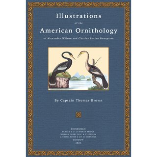 Illustrations of the American Ornithology