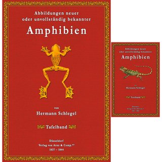 Abbildungen neuer Amphibien - Text und Tafeln
