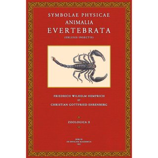 Symbolae Physicae - Zoologica 2: Animalia Evertebrata