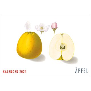 Wandkalender 2024 - Deutsche Pomologie: Äpfel