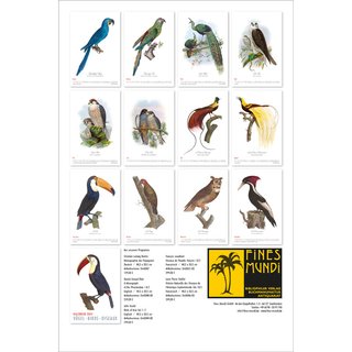 Wandkalender 2024 - Vgel - Birds - Oiseaux