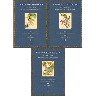 Xenia Orchidacea - 1- 3