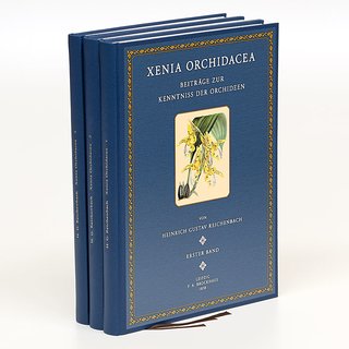 Xenia Orchidacea - 1 bis 3