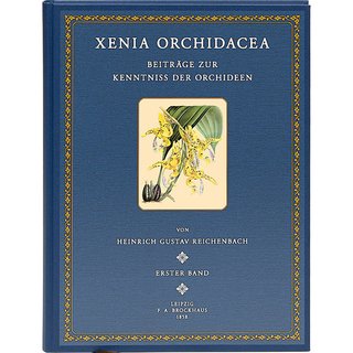 Xenia Orchidacea - 1