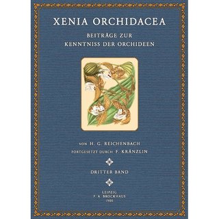 Xenia Orchidacea - 3