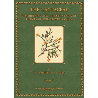 The Cactaceae - 4