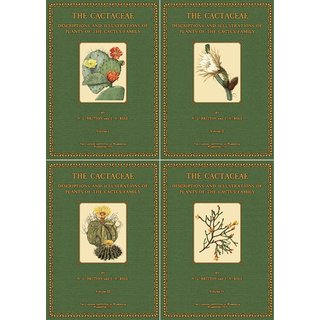 The Cactaceae - 1 bis 4